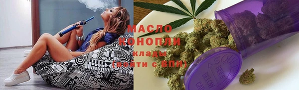 дмт Дмитриев