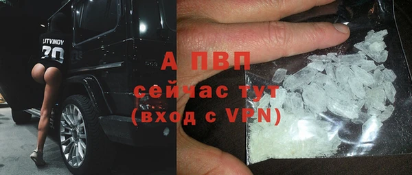 дмт Дмитриев