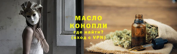 молекула духа Ельня