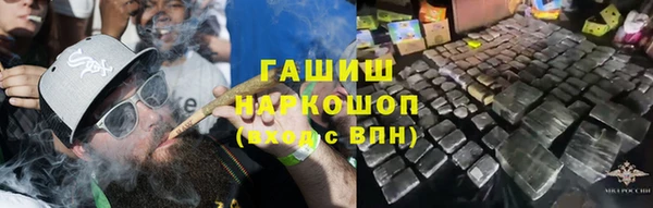 дмт Елизово