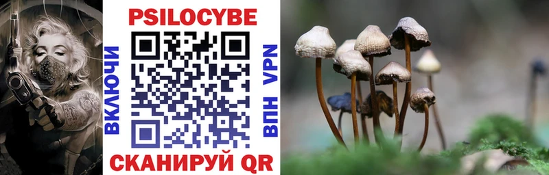 где купить наркоту  Находка  Галлюциногенные грибы Cubensis 